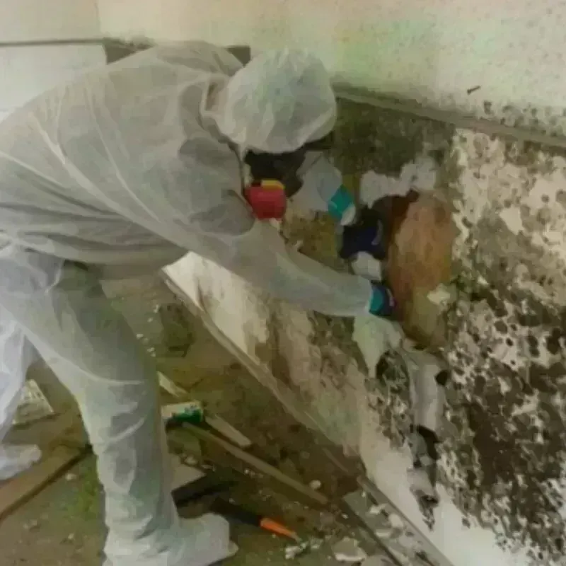 Mold Remediation and Removal in Oconomowoc, WI