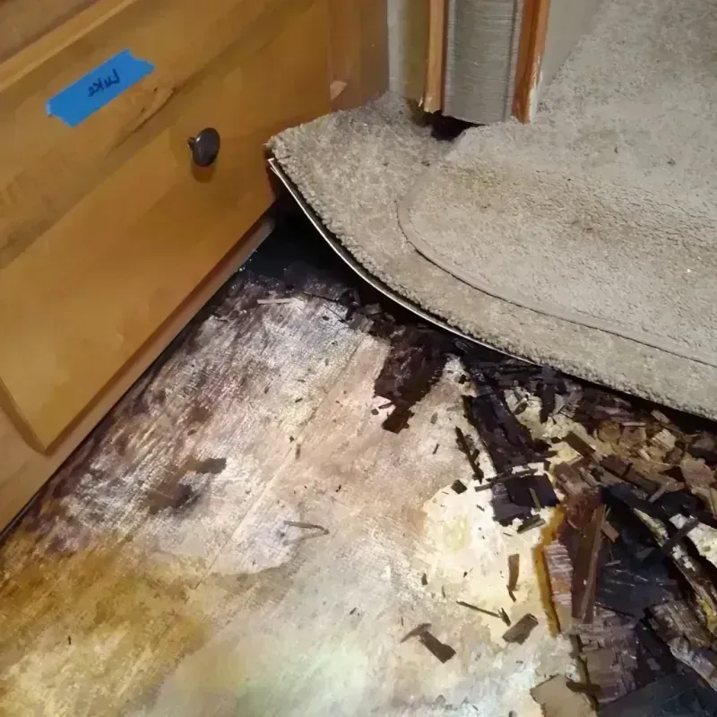 Wood Floor Water Damage in Oconomowoc, WI